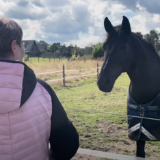 ferd an; Weide mit Zaun und Hofgebäude, wolkiger Himmel.