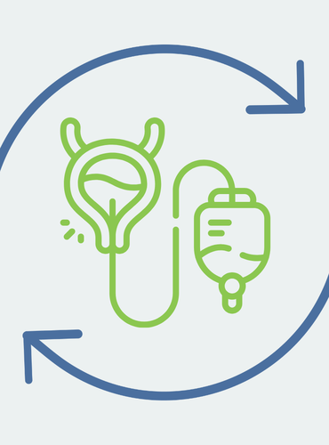 Icon: grüne Harnblase mit Katheter und Sammelbeutel, umgeben von zwei blauen Kreispfeilen